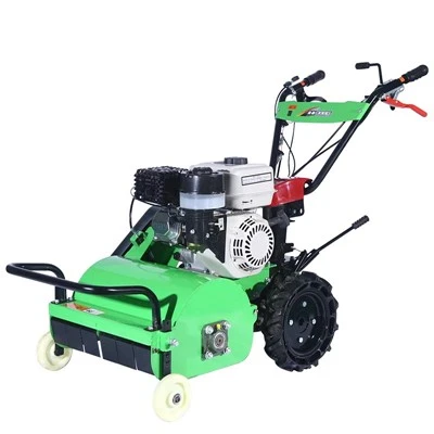 Mesin Pemotong Rumput Dorong Gas 140cc 21-in Pemotong Rumput Dekat Saya